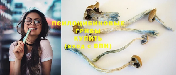 героин Алексин